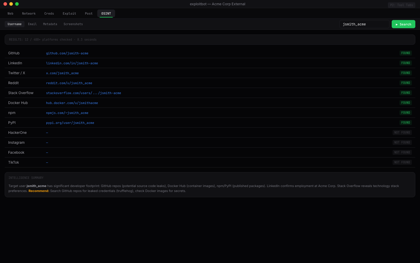 OSINT tab — username and email reconnaissance across platforms
